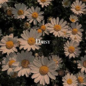 不跟你好了+不做你的共同好友