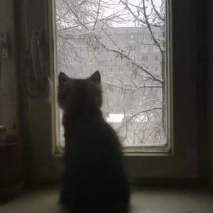 寻(accompany@original)