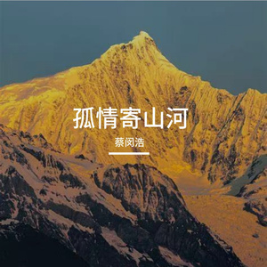 孤情寄山河