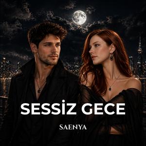 Sessiz Gece