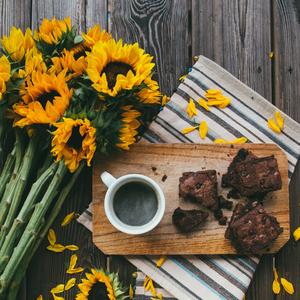 Annabel-syncretism（SRin remix）