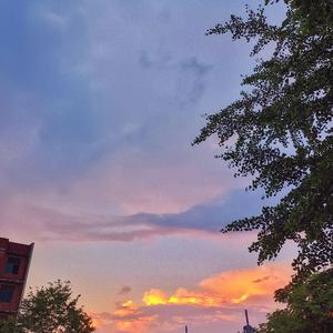 独行侠+爱如潮水（remix）cover sea蕊