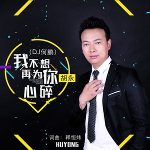 我不想再为你心碎 (DJ何鹏版)