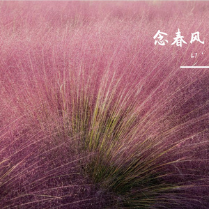 念春风