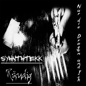 Nur die Drogen und Ich (feat. Räudig)