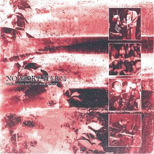 Last Thing We Forget