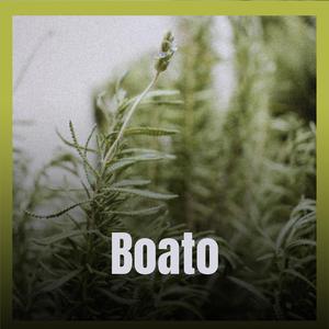 Boato