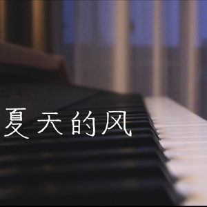 夏天的风（泉水治愈版）