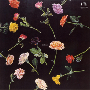 On an Overgrown Path, Book 1, No. 4: The Madonna of Frýdek