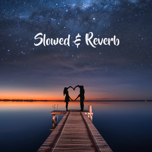 Duniyaa (slowed & Reverb)