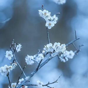 纸飞机飞呀 伴奏