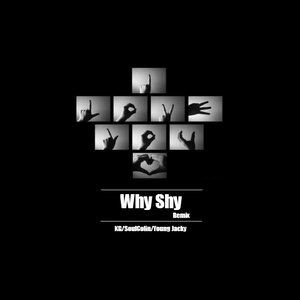 Why Shy （Remix）
