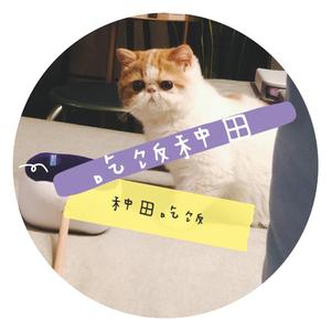 像风走了八千里-cover:王胜男