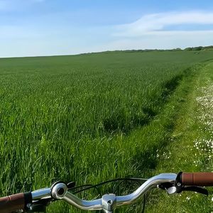 水族馆失眠的鱼