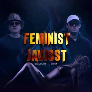 Feminist Javisst