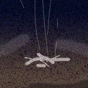 Sweet Gum Tree (Original Mix)