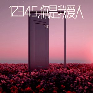 12345，你是我的爱人
