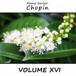 Waltz in F Major, Op. 34 No. 3