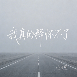 我真的释怀不了(原版）