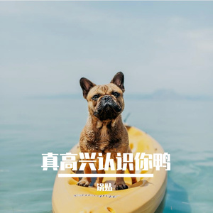 真高兴认识你鸭