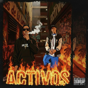 Activos