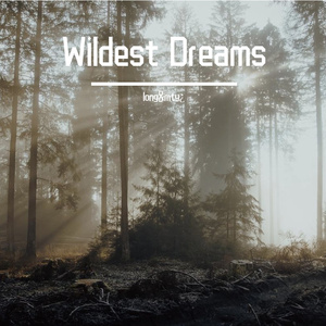 Wildest Dreams