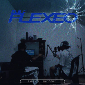 Flexeo