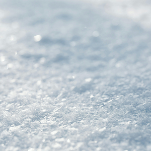 Sous les flocons (Février enchanté)
