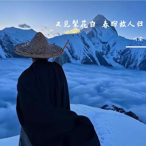 曾经的伤 如今的勋章〈DJ版〉