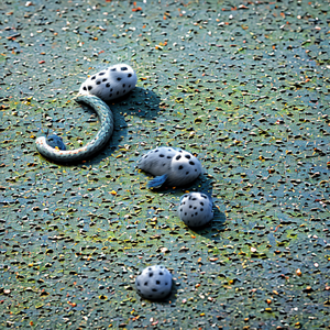 长大的心愿（Prod.by Morrow）