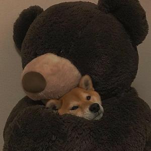 你知不知道他好像她但他再也不会去打扰她