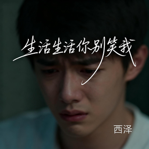 生活生活你别笑我（抖音热播版）