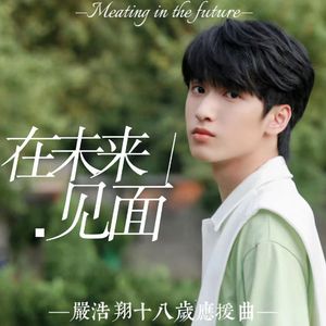 在未来见面（严浩翔十八岁粉丝版）