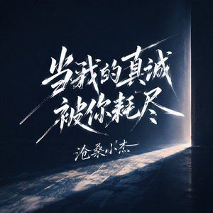 当我的真诚被你耗尽