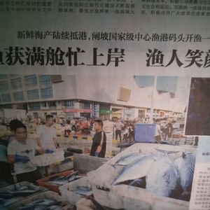 微凉深秋的诉说 伴奏