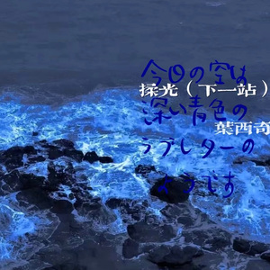 揉光（下一站 上岸）