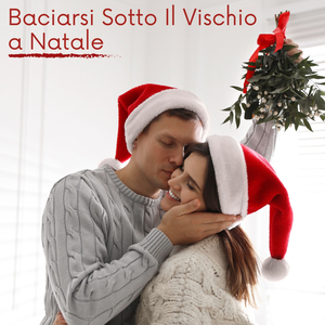 Virgin Mary Had One Son