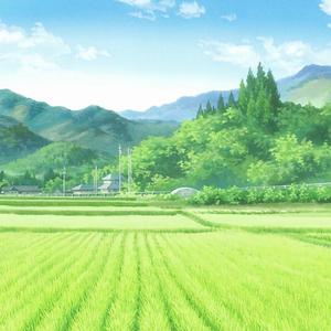 繁花与梦