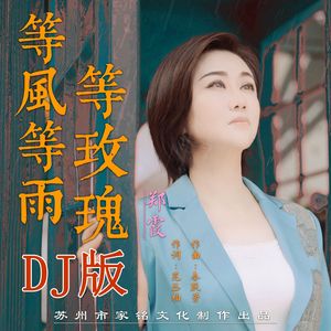 等风等雨等玫瑰 DJ版