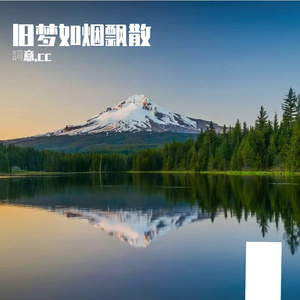 承诺已休