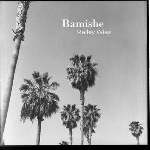 Bamishe