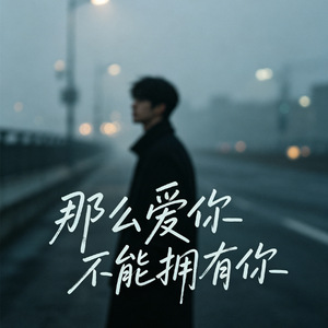 那么爱你不能拥有你