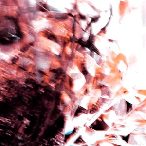 in search of immateriality
