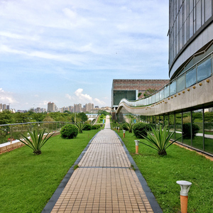 你不在北京（Cover 曹轩宾）