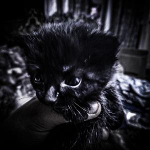 Кошмары