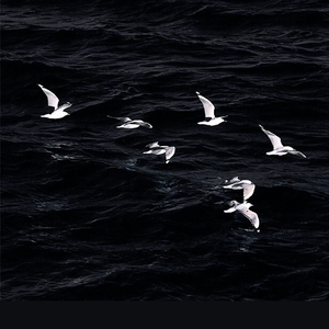 但求疼-穆阿穆阿