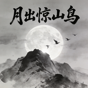 夜鸟