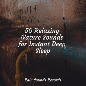 Roaring Skies Symphony