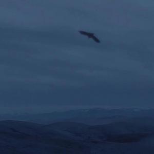 海夜（black sea）