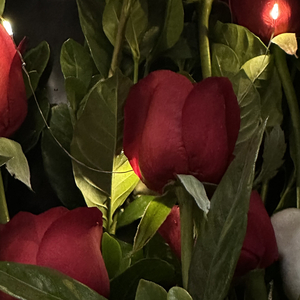 白日梦专家（Prod By ATTBeat）